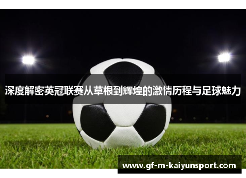 深度解密英冠联赛从草根到辉煌的激情历程与足球魅力