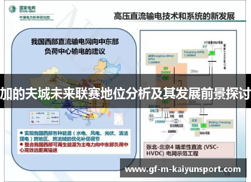 加的夫城未来联赛地位分析及其发展前景探讨