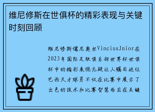 维尼修斯在世俱杯的精彩表现与关键时刻回顾